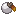 White Apricorn
